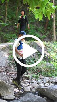 BIB:  <button type="button" onclick="openModal(28099521)" class="btn btn-primary btn-sm float-right" data-toggle="modal" data-target=".modal-high-quality">
                <i class="fa fa-download"></i> Download
                </button>